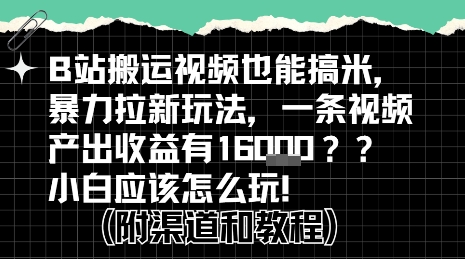 B站掘金计划:视频搬运也能赚取新收益,新手攻略!-网赚项目资源库