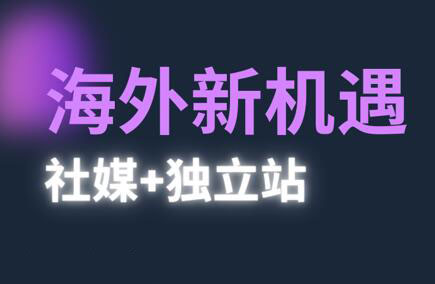 棕榈2025年出海新机遇：社媒与独立站整合策略-网赚项目资源库
