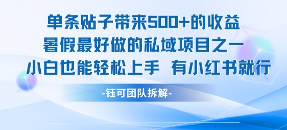 单条帖子带来5张收益，暑假私域项目首选，小白轻松上手，小红书即可操作-网赚项目资源库