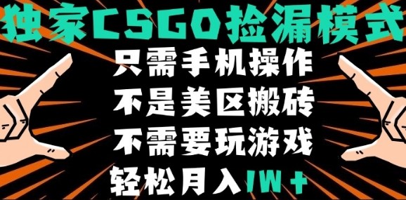 CSGO自动捡漏项目：新手小白月入1W+，最新独家玩法揭秘-网赚项目资源库