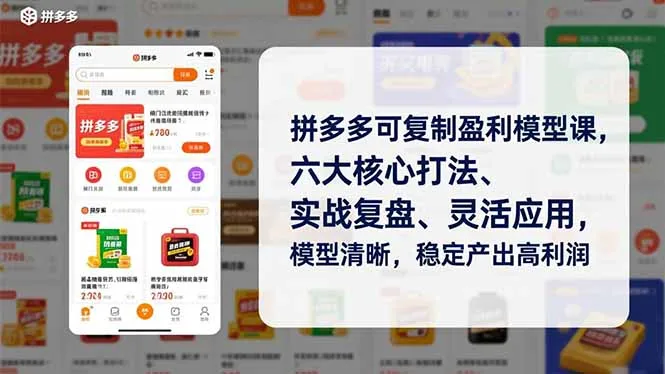 拼多多盈利模型课程:六大核心策略、实战案例分析、灵活应用,清晰易懂,稳定高回报-网赚项目资源库