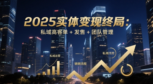 2025年实体变现终极指南：私域高客单、发售策略与团队管理-网赚项目资源库