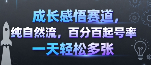 成长感悟赛道，纯自然流量，百分百起号率，一天轻松多张-网赚项目资源库