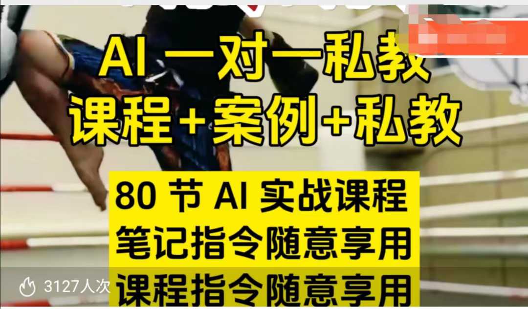 AI指令实战课程：80节AI实战课程+案例，笔记、指令随意享用（更新至7月）-网赚项目资源库
