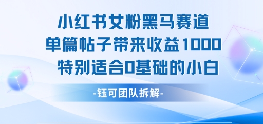小红书新手小白如何通过单篇帖子实现1k+收益？-网赚项目资源库