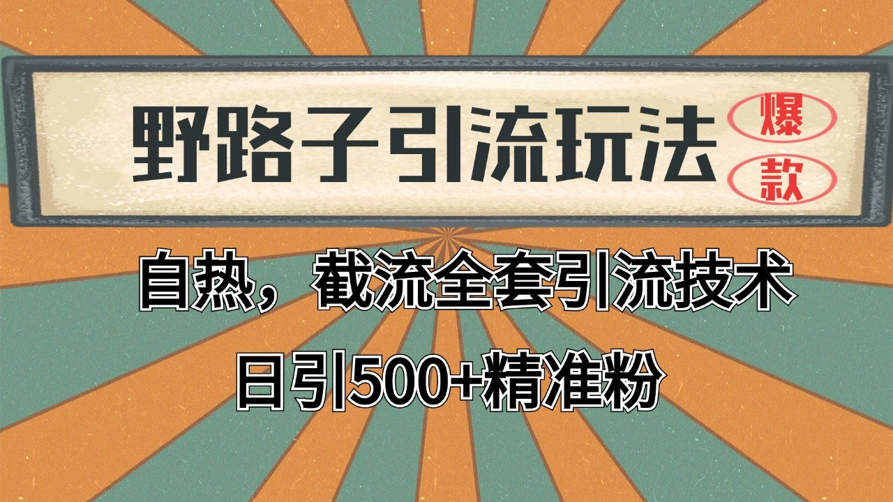 2024年首发野路子引流技巧,全自动日引2000+精准客户-网赚项目资源库