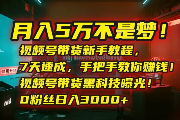 月入5万不是梦！视频号带货新手教程，7天速成，手把手教你赚钱！视频号…-网赚项目资源库