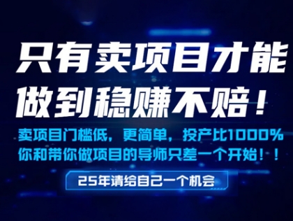 揭秘：如何仅通过项目销售实现稳定盈利，低门槛，简单操作，年入百万不是梦-网赚项目资源库
