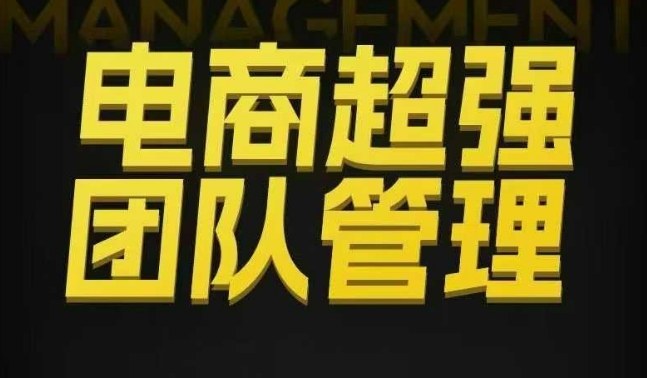 电商团队管理与绩效提升：从组织到执行的分权合伙策略-网赚项目资源库