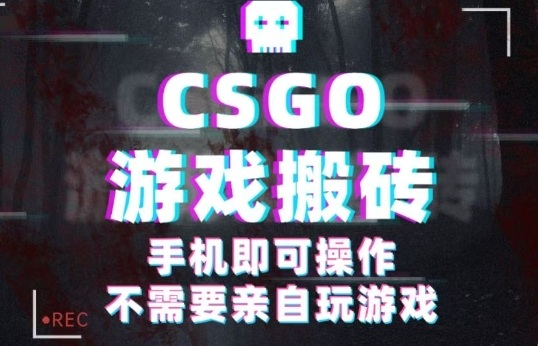 CSGO游戏挂G捡漏，单日扫货5张+，年底小高峰上车可吃肉，手机即可操作，兼职副业创业网创【揭秘】-网赚项目资源库
