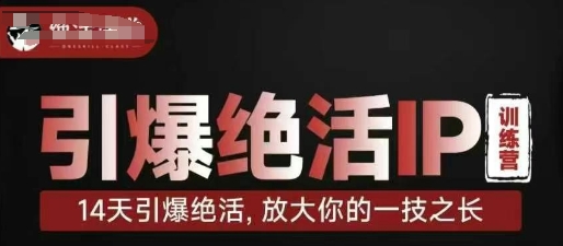 14天掌握绝活技巧，引爆个人IP训练营-网赚项目资源库