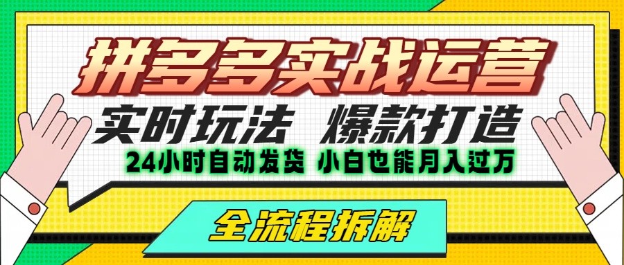 拼多多高投产运营策略：单店日赚三位数，稳定盈利项目-网赚项目资源库