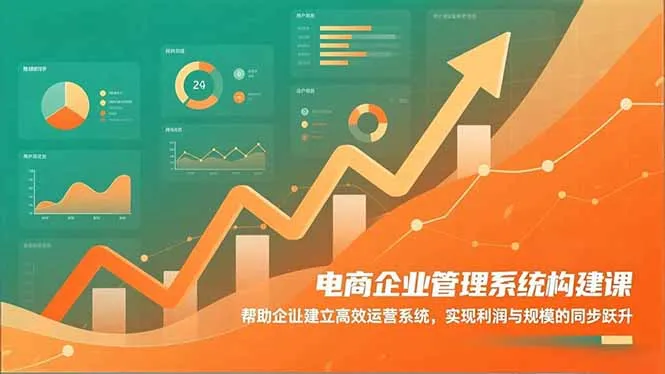 电商企业管理系统构建课程：助力企业高效运营，实现利润与规模同步增长-网赚项目资源库