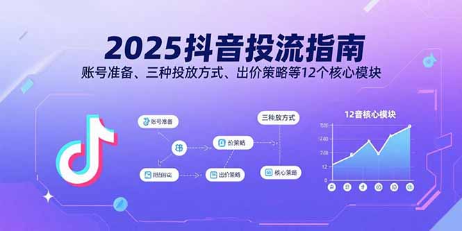 2025年抖音投放全攻略：账号准备、三种投放方式、出价策略等12个核心模块-网赚项目资源库