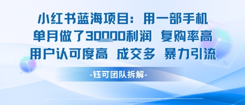 小红书蓝海项目：手机单月3万利润，小白月入过1万，用户高认可度-网赚项目资源库