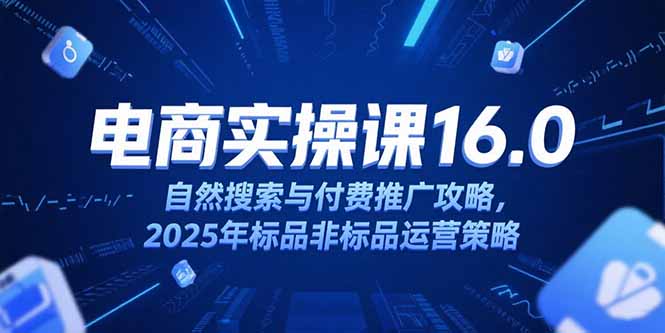 淘宝电商运营课程16.0：2025年自然搜索与付费推广策略，标品与非标品运营指南-网赚项目资源库