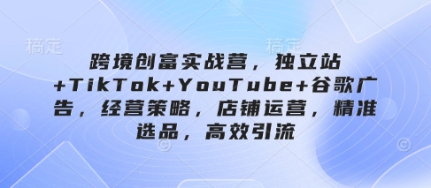 跨境创富实战营：独立站、TikTok、YouTube、谷歌广告运营策略与店铺运营技巧，精准选品及高效引流-网赚项目资源库