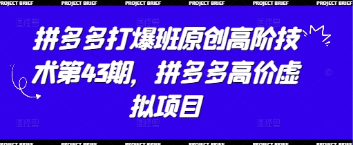 拼多多高阶技术第43期：揭秘虚拟项目赚钱秘籍-网赚项目资源库