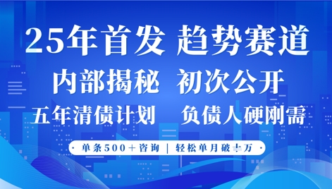 2025年首次公开事业型赛道,客咨不断,单月轻松破W-网赚项目资源库