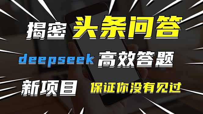 头条问答新玩法揭秘：使用DeepSeek高效答题，体验前所未有的互动！-网赚项目资源库