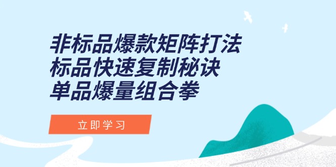 非标品爆款策略与标品复制技巧,单品爆量组合拳揭秘-网赚项目资源库