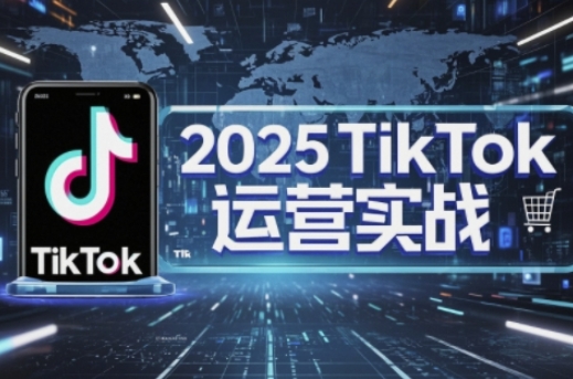 2025年TikTok电商运营指南：掌握店铺核心技巧，低成本高转化-网赚项目资源库