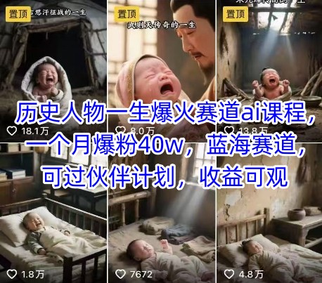 历史人物AI爆火课程，一个月增粉40万，蓝海市场，伙伴计划收益可观-网赚项目资源库