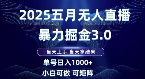 2025年五月无人直播暴力掘金3.0，单日收益1k+，小白操作可复制【揭秘】-网赚项目资源库