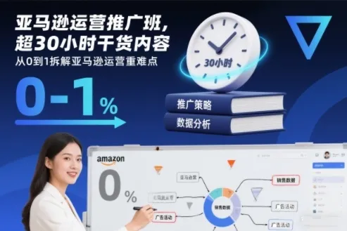 亚马逊运营推广班：30小时实战精华，从零到精通亚马逊运营秘籍-网赚项目资源库