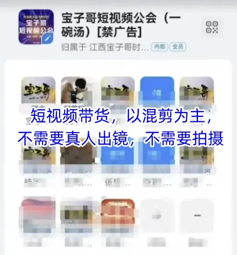 宝子哥头部团队短视频带货,混剪为主,无需真人出镜【更新至12月】-网赚项目资源库