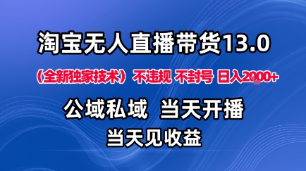 淘宝无人直播13.0：揭秘公域私域技术，日入1K+不封号不违规布局旺季赛道-网赚项目资源库