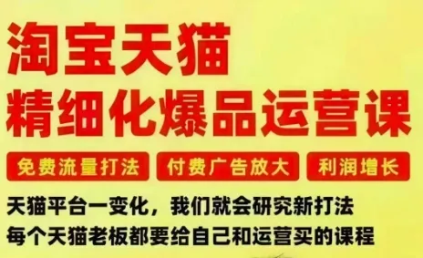 淘宝天猫精细化爆品运营课程：免费流量策略、付费广告优化与利润增长，解决三大核心痛点-网赚项目资源库