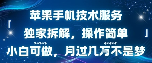 苹果手机技术服务:独家拆解教程,简单易学,小白也能月入过万-网赚项目资源库