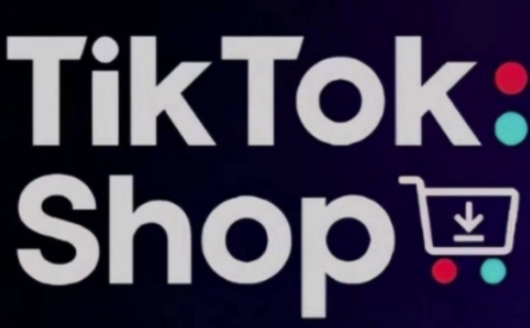 TikTokShop跨境电商实战指南：低成本启动海外市场的步骤-网赚项目资源库