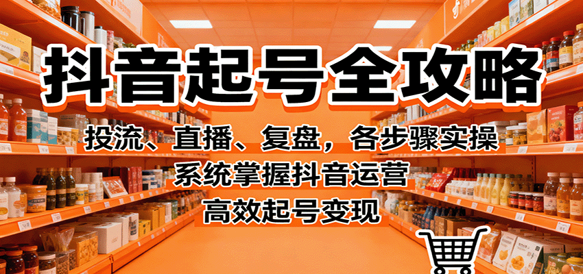 抖音起号全攻略：投流、直播、复盘实操，系统掌握运营技巧，高效变现-网赚项目资源库