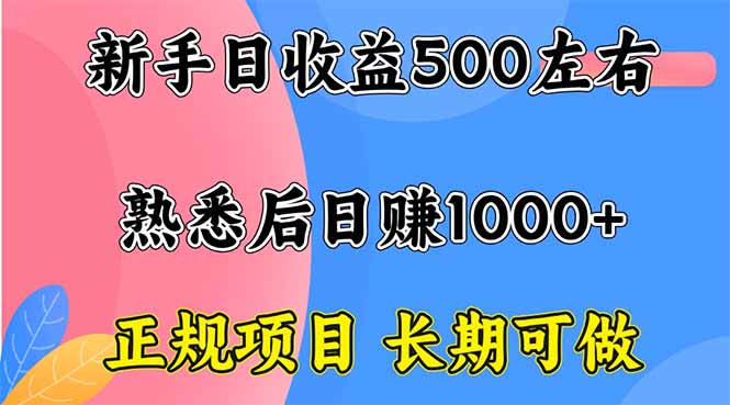 新手日赚500+ 正规项目 长期可做-网赚项目资源库