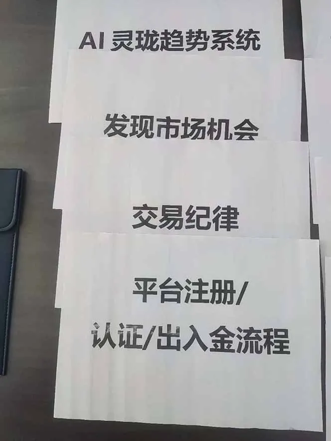 图片[3]-海外美金AI掘金项目，200U可入门槛，一天一单即可，每天1000-2000很轻松！-讯领网创