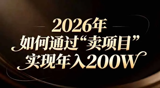 2026年：普通人如何通过卖项目实现年入200万？-网赚项目资源库