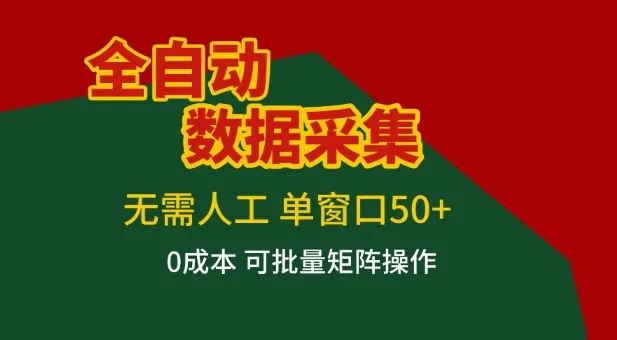 全自动数据采集项目，单窗口收益高达50+，简单易操作，一人即可轻松实现矩阵【揭秘】-网赚项目资源库