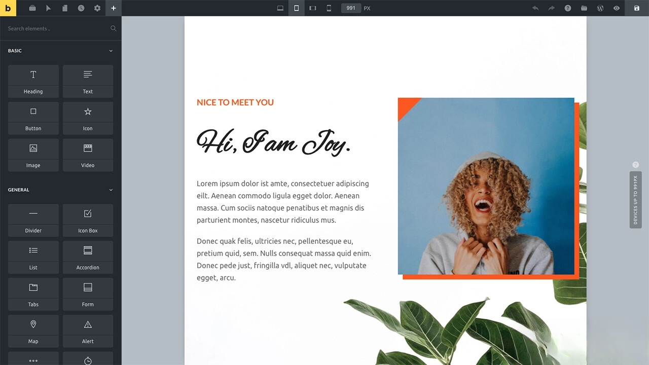 WordPress主题Bricks v1.9 破解版 - 破解与免费使用指南-网赚项目资源库