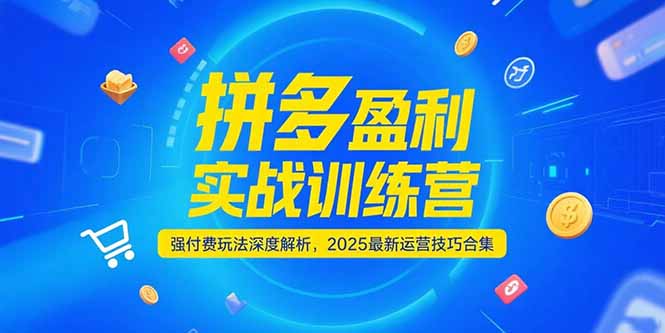 拼多多盈利实战训练营：2025年运营技巧合集，付费玩法深度解析-网赚项目资源库