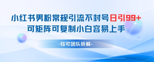 小红书男粉引流不封号，日引99+变现简单可复制-网赚项目资源库