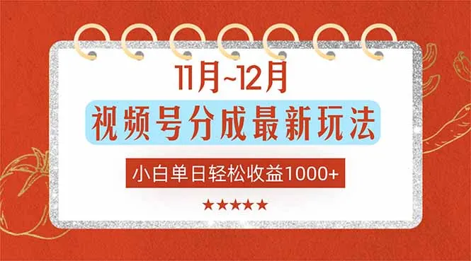 11月~12月视频号收益新策略，新手单日赚1000+-网赚项目资源库