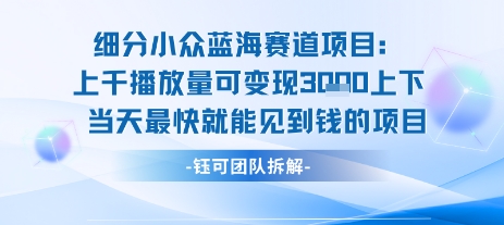 探索小众蓝海项目：日赚1000+，新手友好且可长期经营-网赚项目资源库