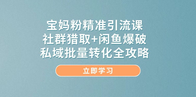 宝妈粉精准引流课：社群猎取与闲鱼爆破技巧，私域流量转化全攻略-网赚项目资源库