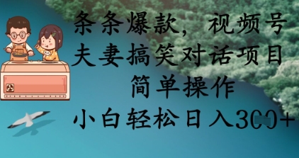 爆款视频号夫妻搞笑对话项目，简单操作日入3000+-网赚项目资源库