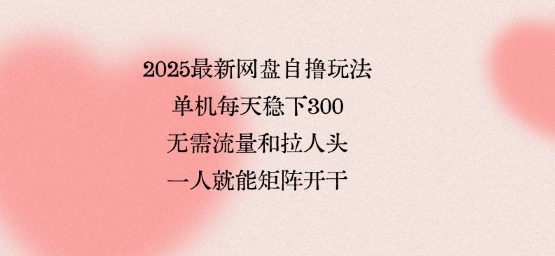 2025年最新网盘自撸技巧，单机每天稳定获取3张资源，无需流量和拉人头，单人即可轻松实现矩阵操作，全网独有【揭秘】-网赚项目资源库