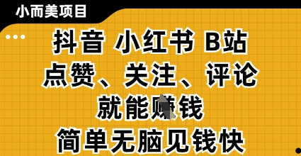 抖音小红书B站视频点赞、关注、评论赚钱，简单操作立见收益，零撸项目揭秘-网赚项目资源库
