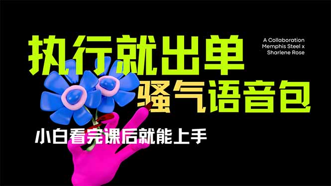 爆火全网的开车导航语音包，只需执行即可出单，小白也能轻松上手…-网赚项目资源库