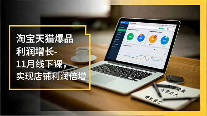 淘宝天猫爆品利润增长线下课：免费流量、付费放大、费用管控，助力店铺利润倍增-网赚项目资源库